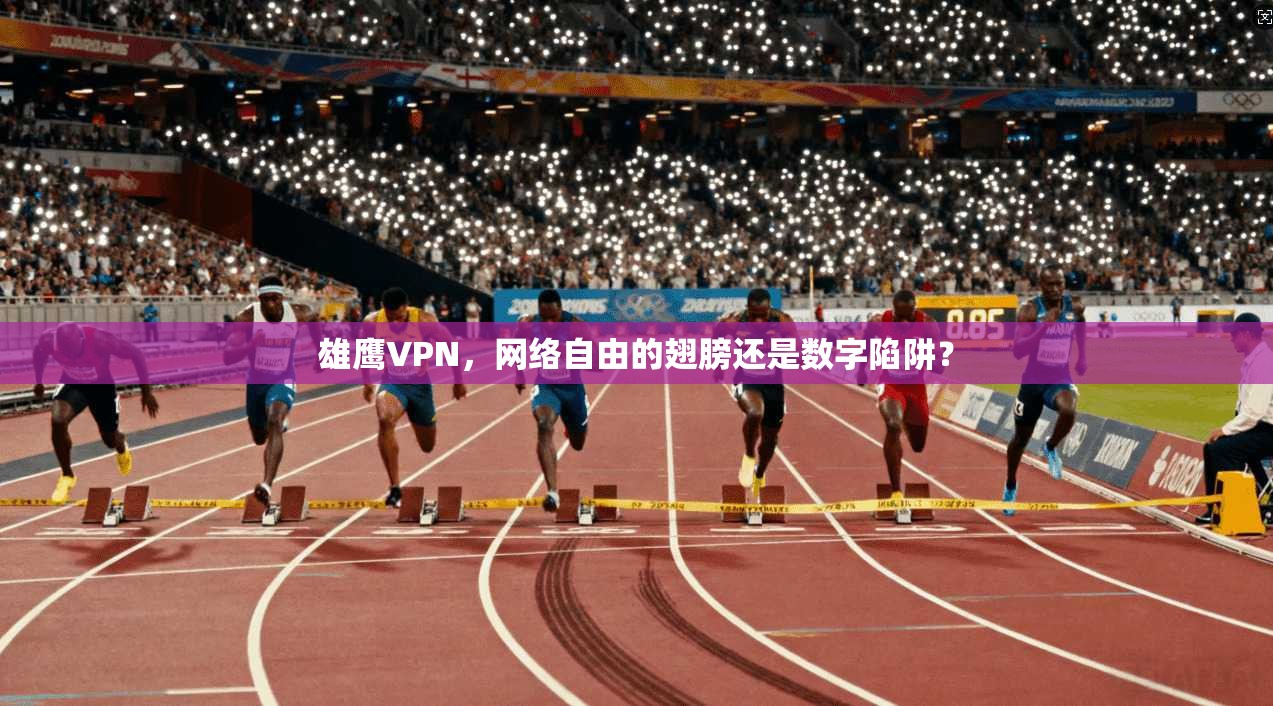 雄鹰VPN，网络自由的翅膀还是数字陷阱？