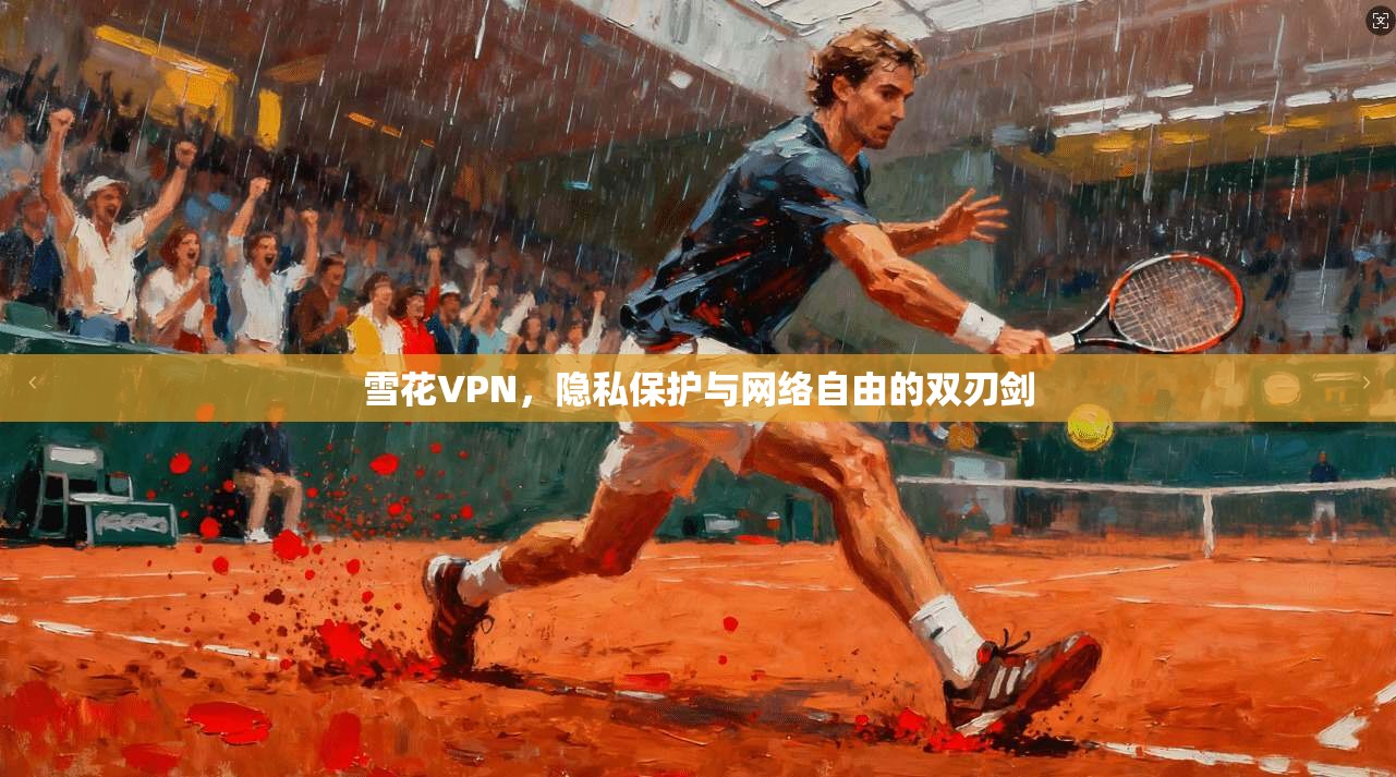 雪花VPN，隐私保护与网络自由的双刃剑