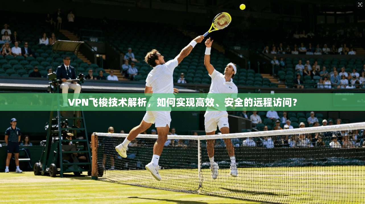 VPN飞梭技术解析，如何实现高效、安全的远程访问？