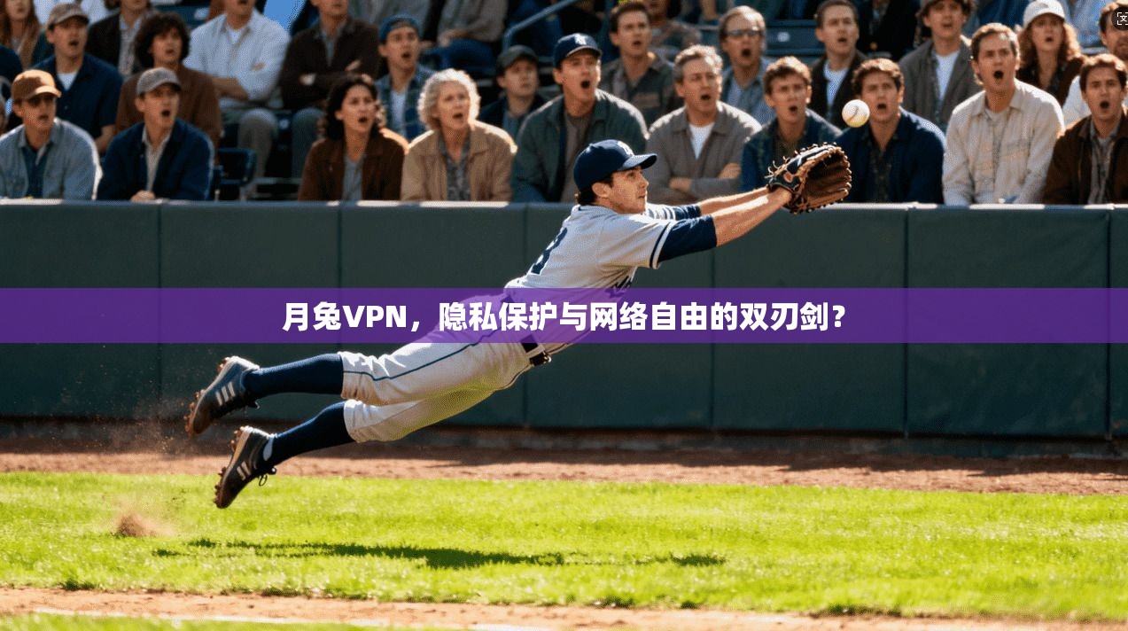 月兔VPN，隐私保护与网络自由的双刃剑？