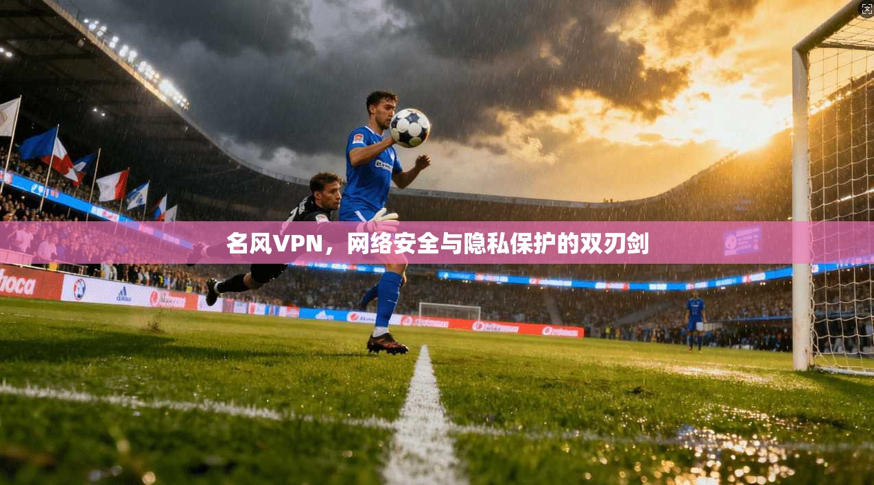 名风VPN，网络安全与隐私保护的双刃剑