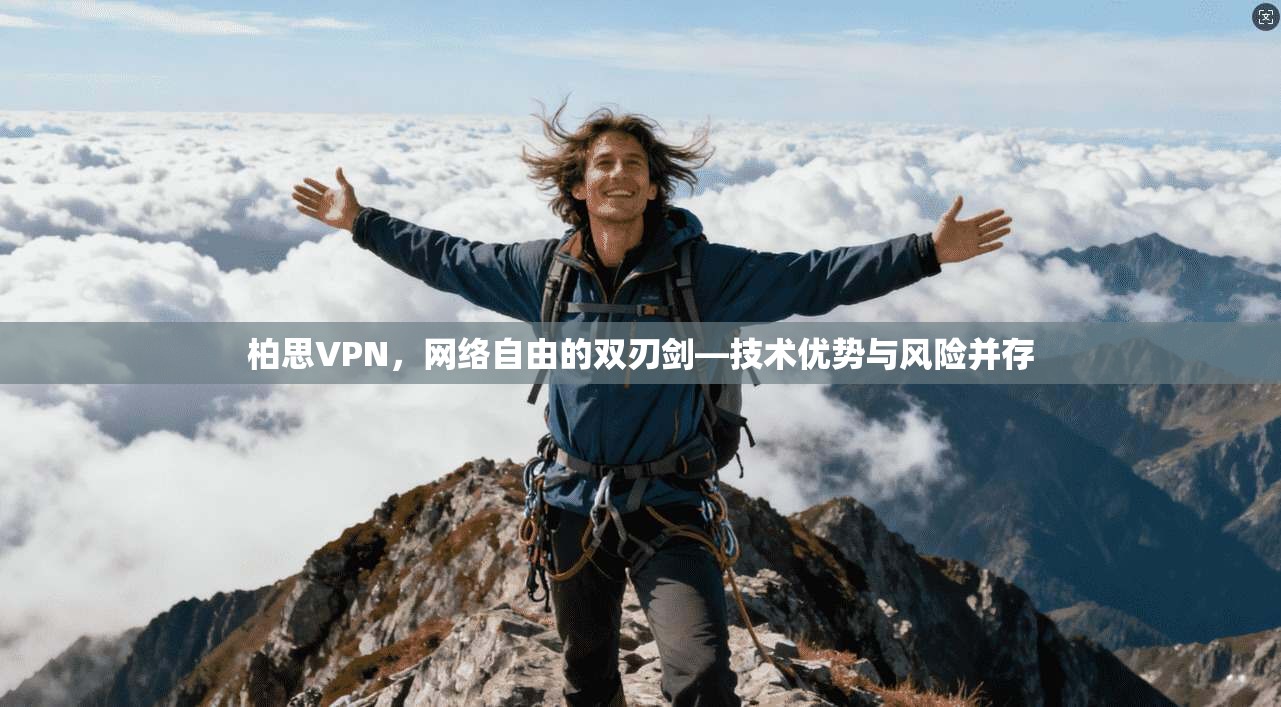 柏思VPN，网络自由的双刃剑—技术优势与风险并存