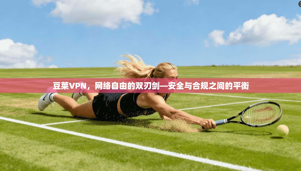 豆莱VPN，网络自由的双刃剑—安全与合规之间的平衡