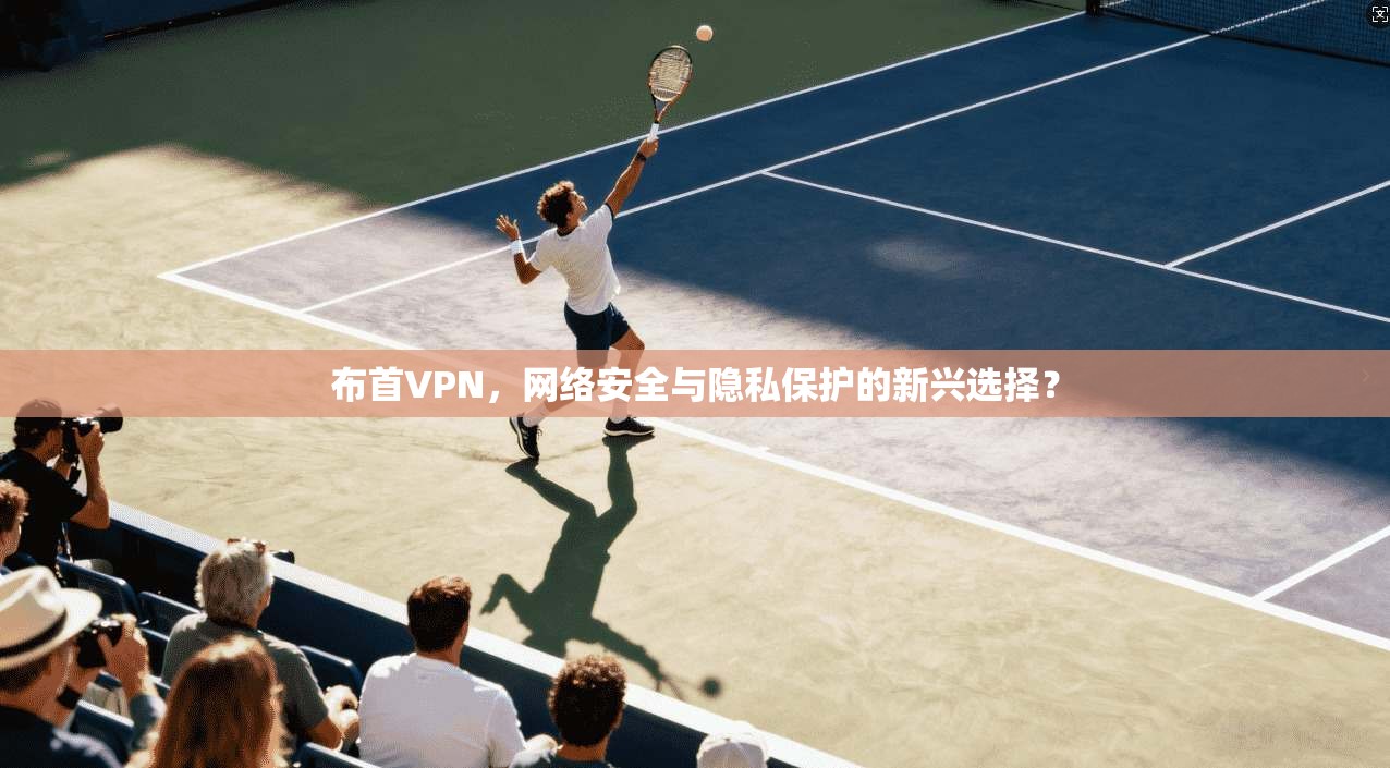 布首VPN，网络安全与隐私保护的新兴选择？