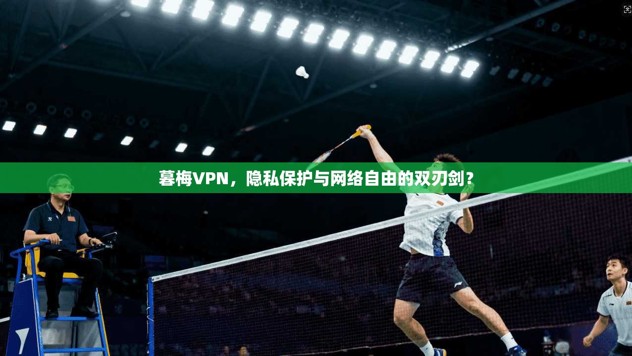 暮梅VPN，隐私保护与网络自由的双刃剑？