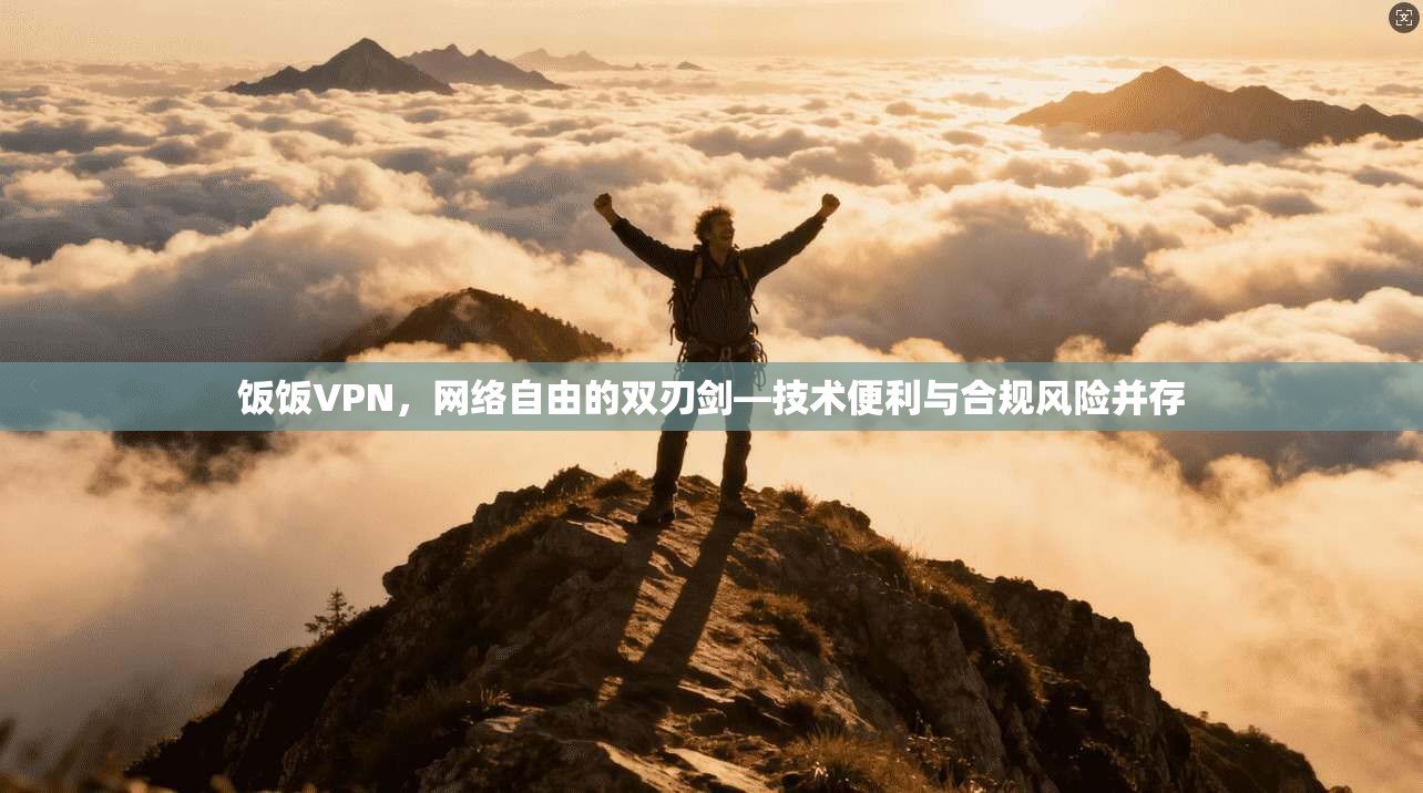 饭饭VPN，网络自由的双刃剑—技术便利与合规风险并存