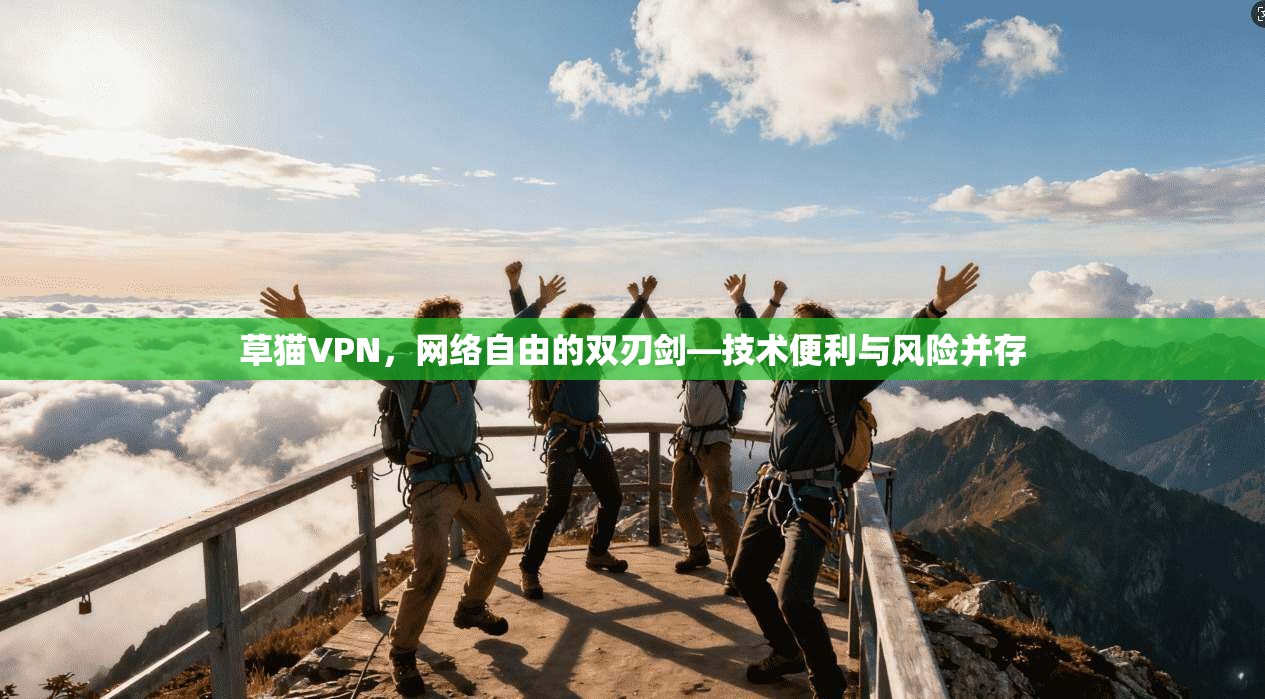 草猫VPN，网络自由的双刃剑—技术便利与风险并存
