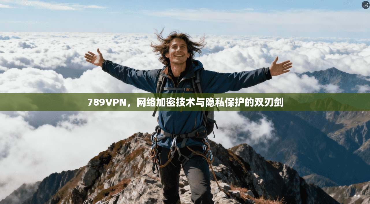 789VPN，网络加密技术与隐私保护的双刃剑