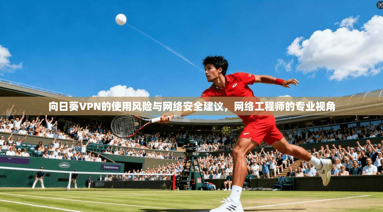 向日葵VPN的使用风险与网络安全建议，网络工程师的专业视角