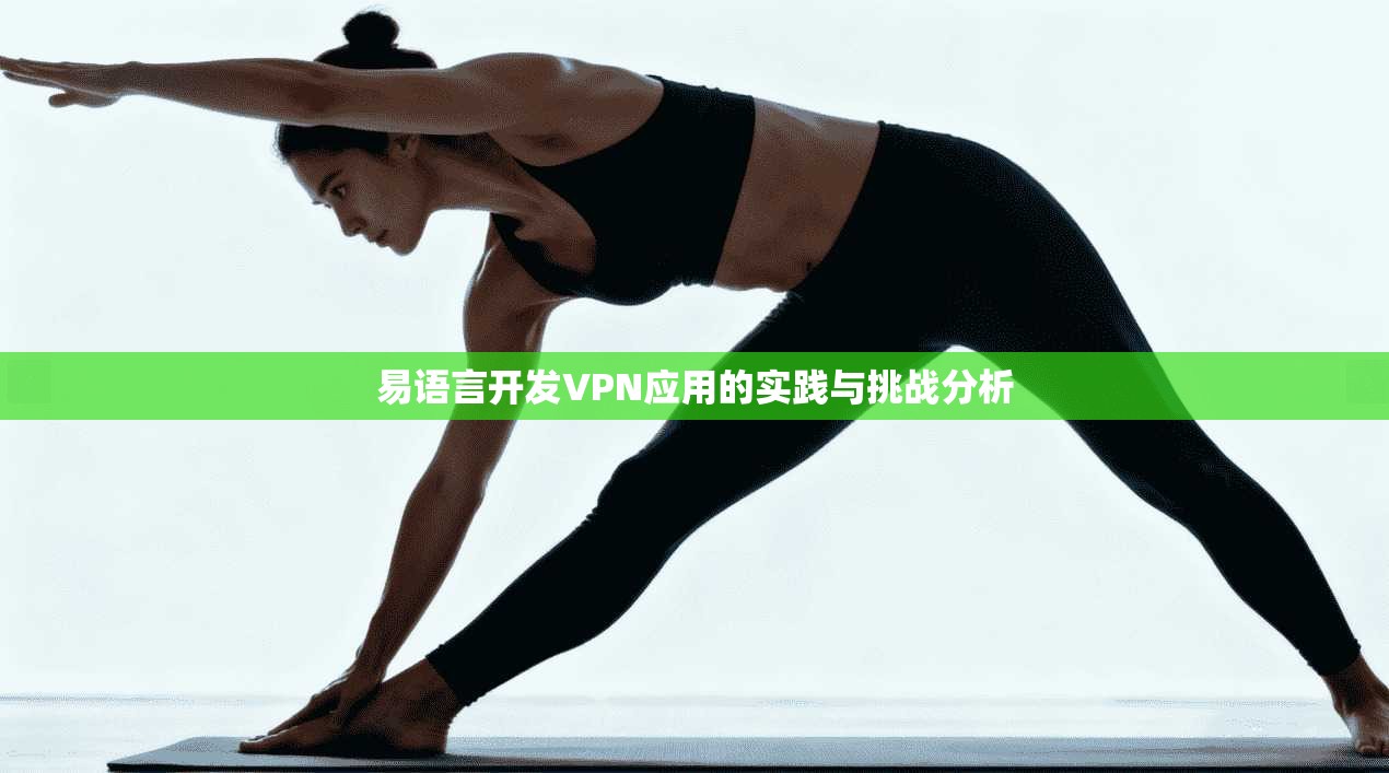 易语言开发VPN应用的实践与挑战分析