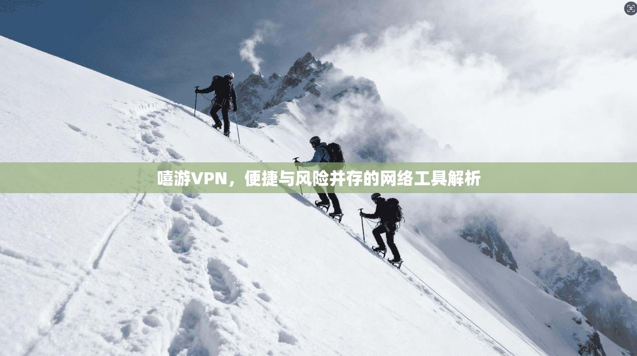 嘻游VPN，便捷与风险并存的网络工具解析