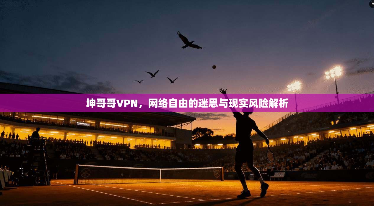 坤哥哥VPN,网络自由的迷思与现实风险解析