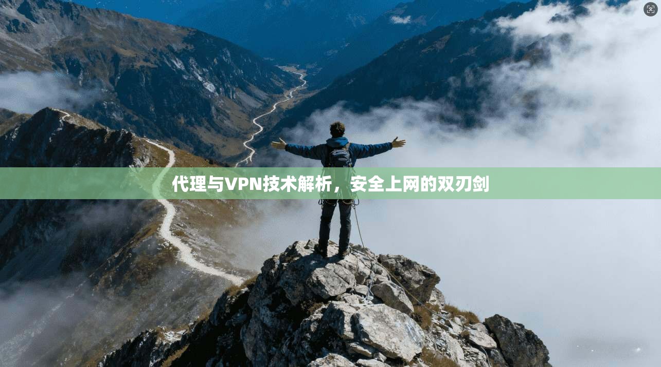 代理与VPN技术解析，安全上网的双刃剑