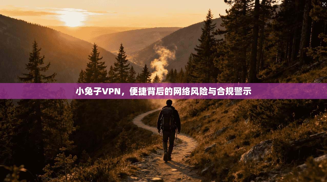 小兔子VPN,便捷背后的网络风险与合规警示