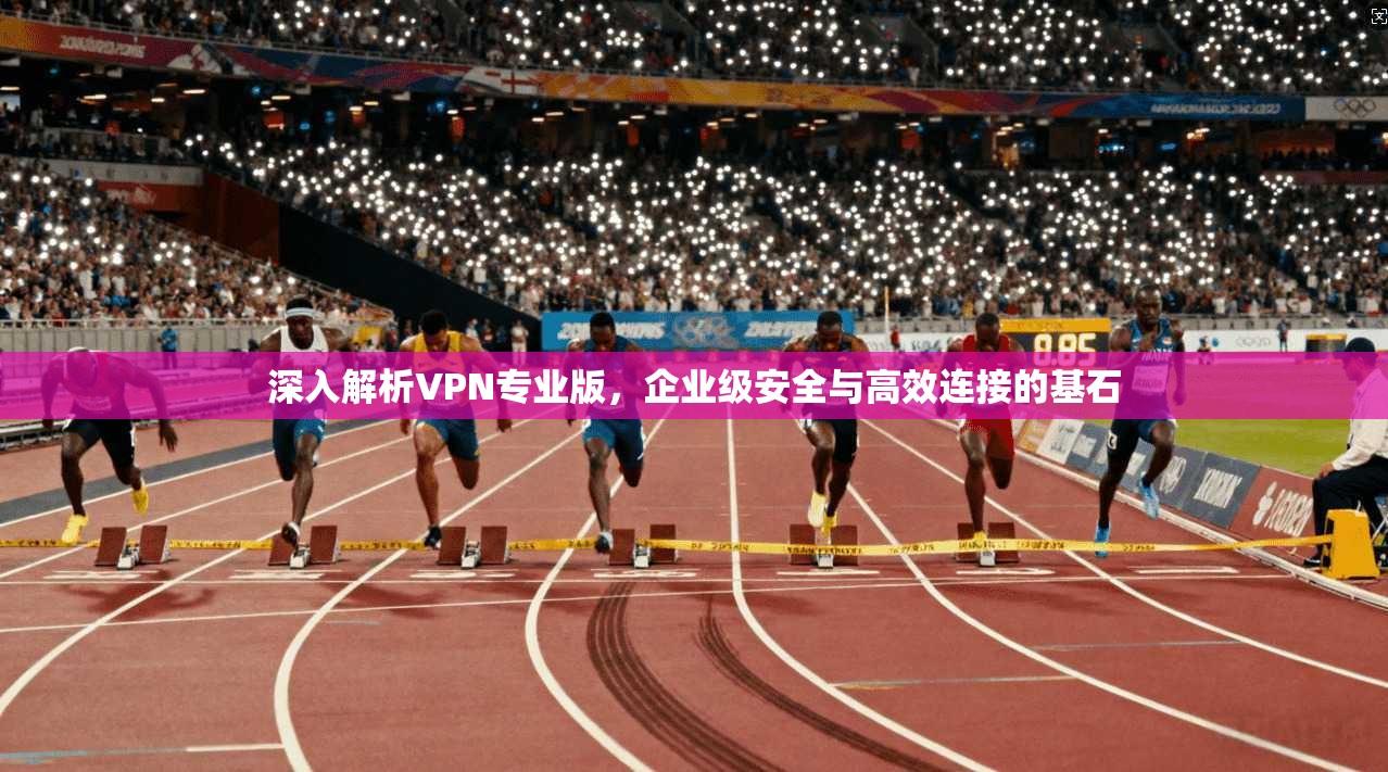 深入解析VPN专业版，企业级安全与高效连接的基石