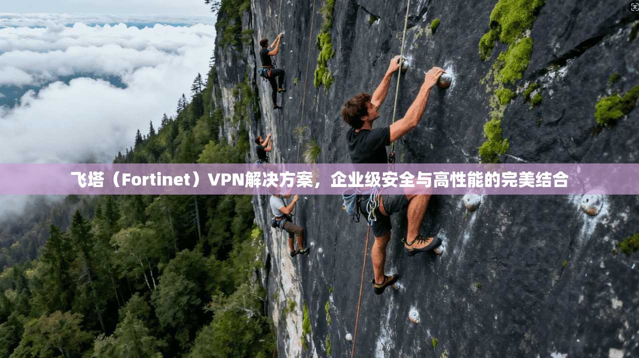飞塔(Fortinet)VPN解决方案,企业级安全与高性能的完美结合