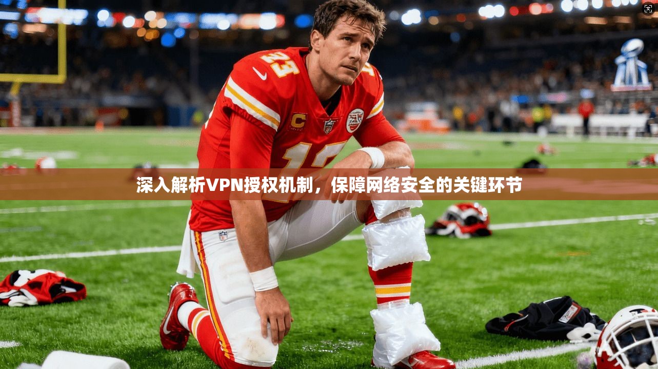 深入解析VPN授权机制,保障网络安全的关键环节