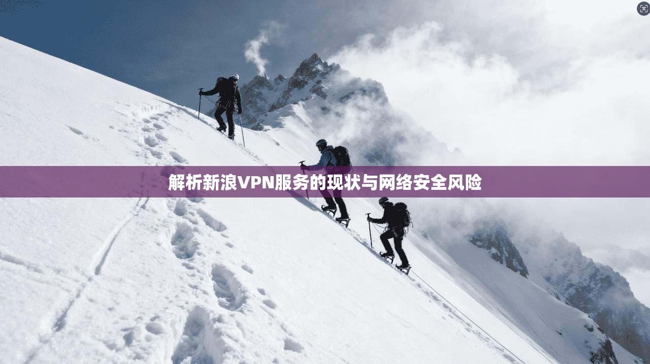 解析新浪VPN服务的现状与网络安全风险