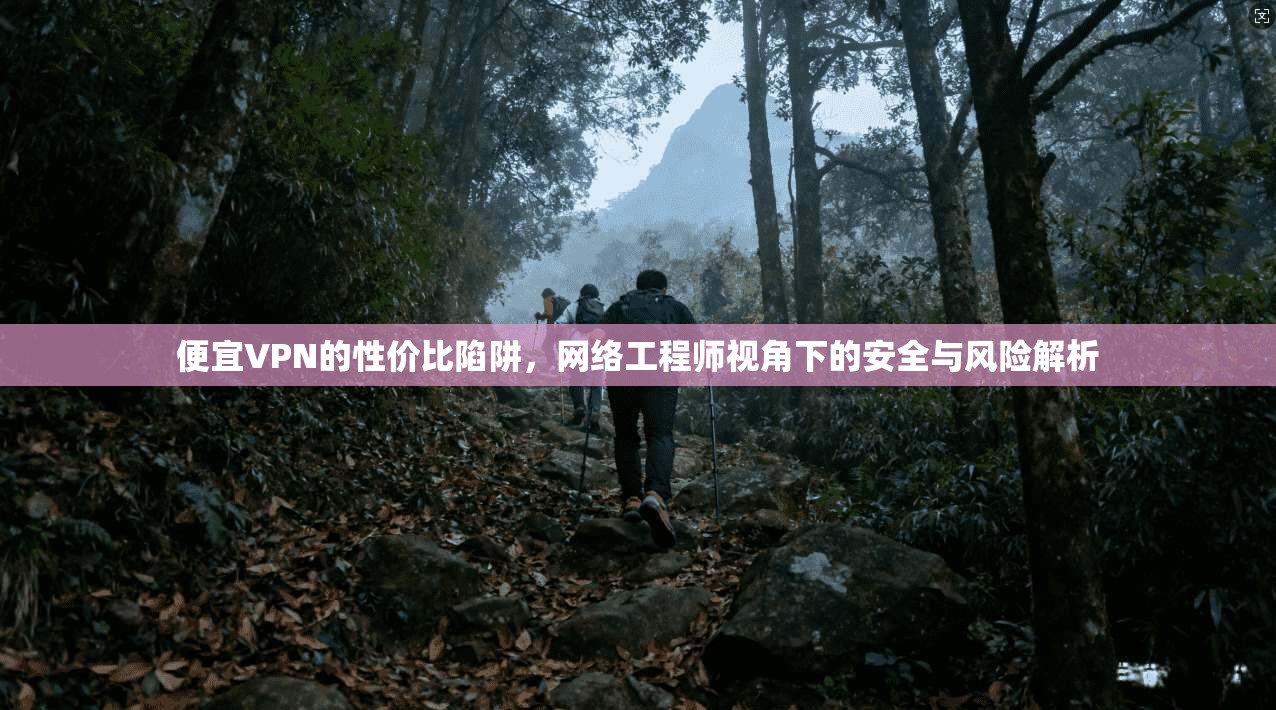 便宜VPN的性价比陷阱，网络工程师视角下的安全与风险解析