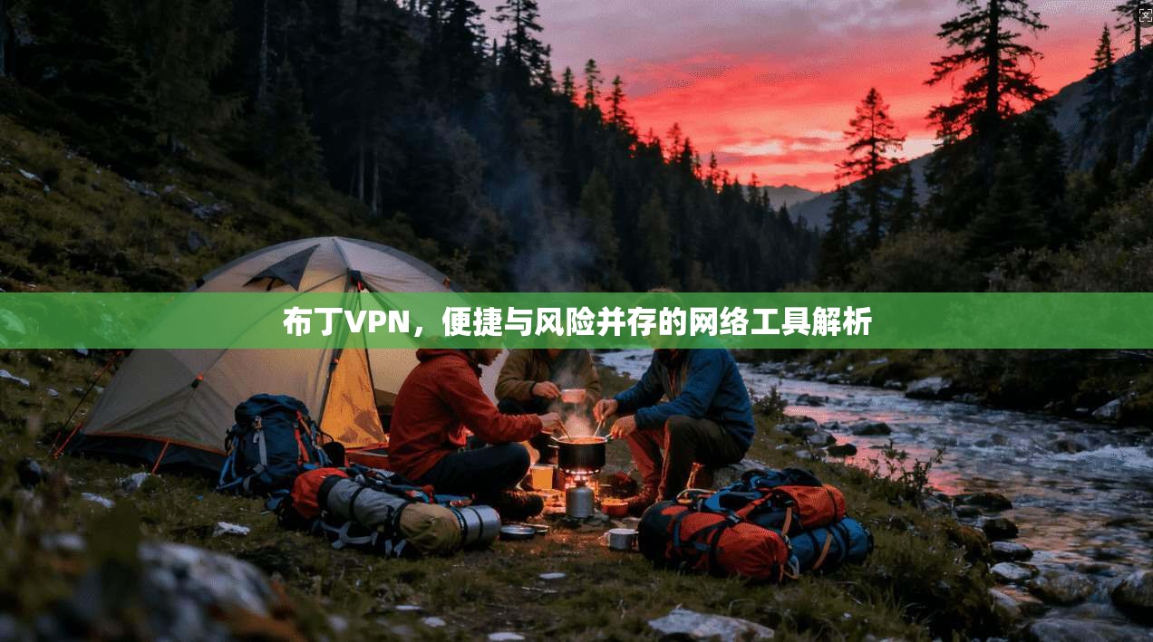 布丁VPN，便捷与风险并存的网络工具解析
