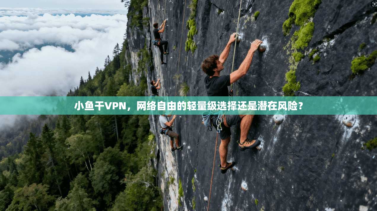 小鱼干VPN，网络自由的轻量级选择还是潜在风险？