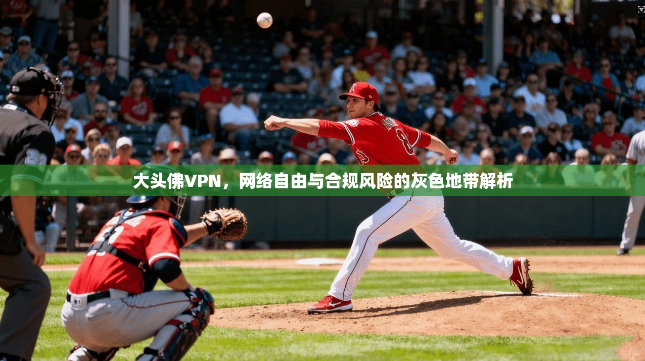 大头佛VPN，网络自由与合规风险的灰色地带解析