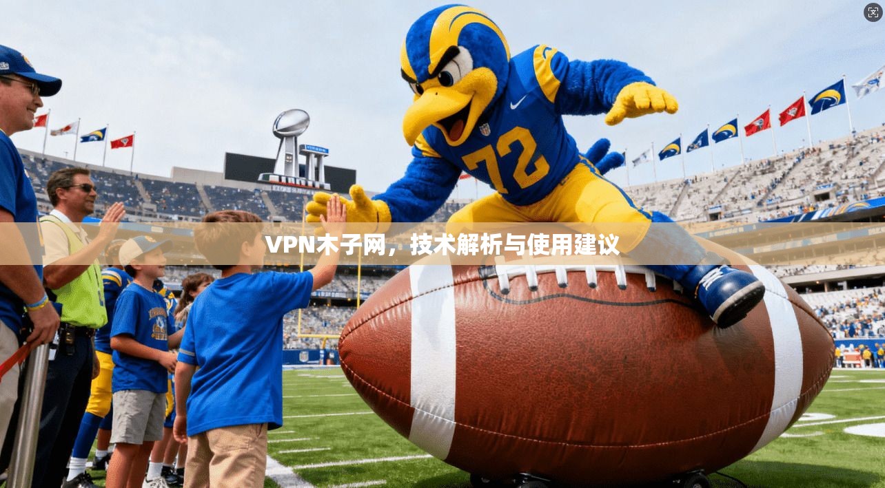 VPN木子网,技术解析与使用建议 VPN木子网,技术解析与使用建议