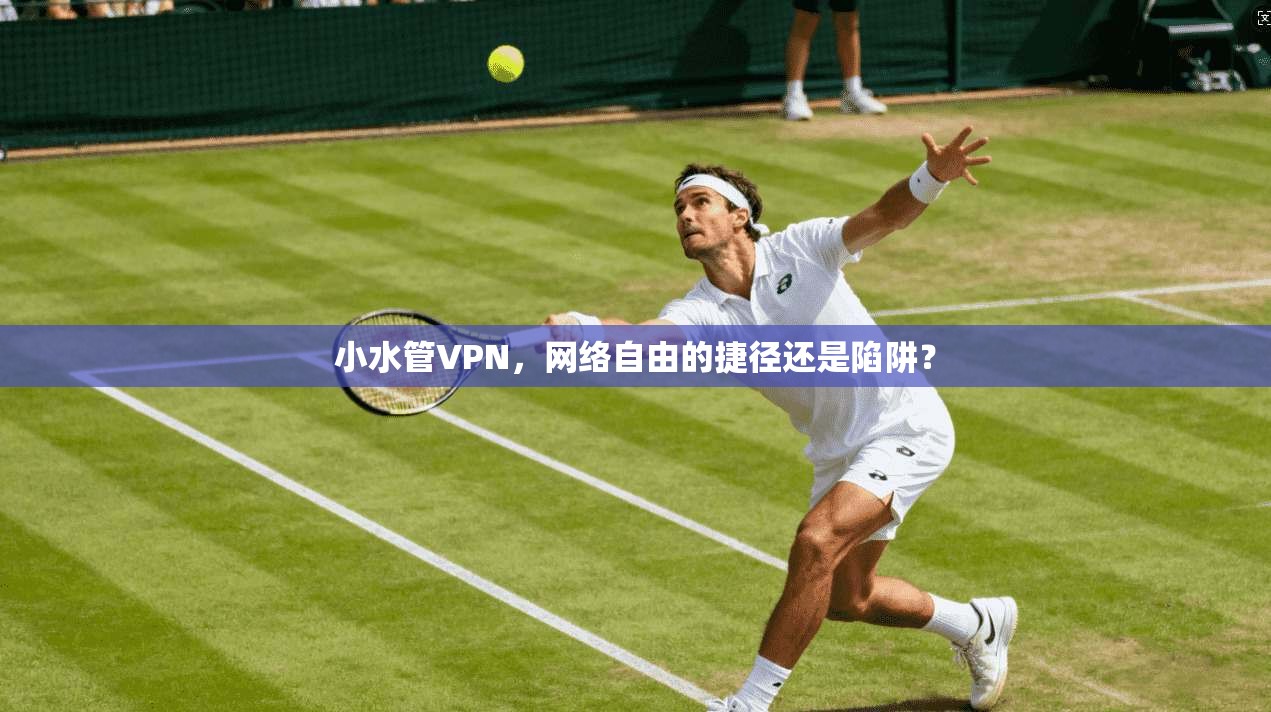 小水管VPN,网络自由的捷径还是陷阱?