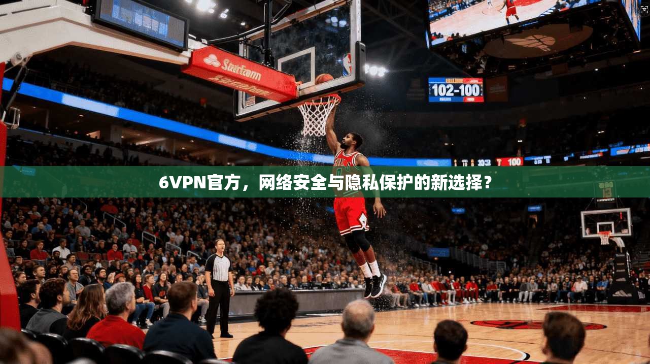 6VPN官方，网络安全与隐私保护的新选择？