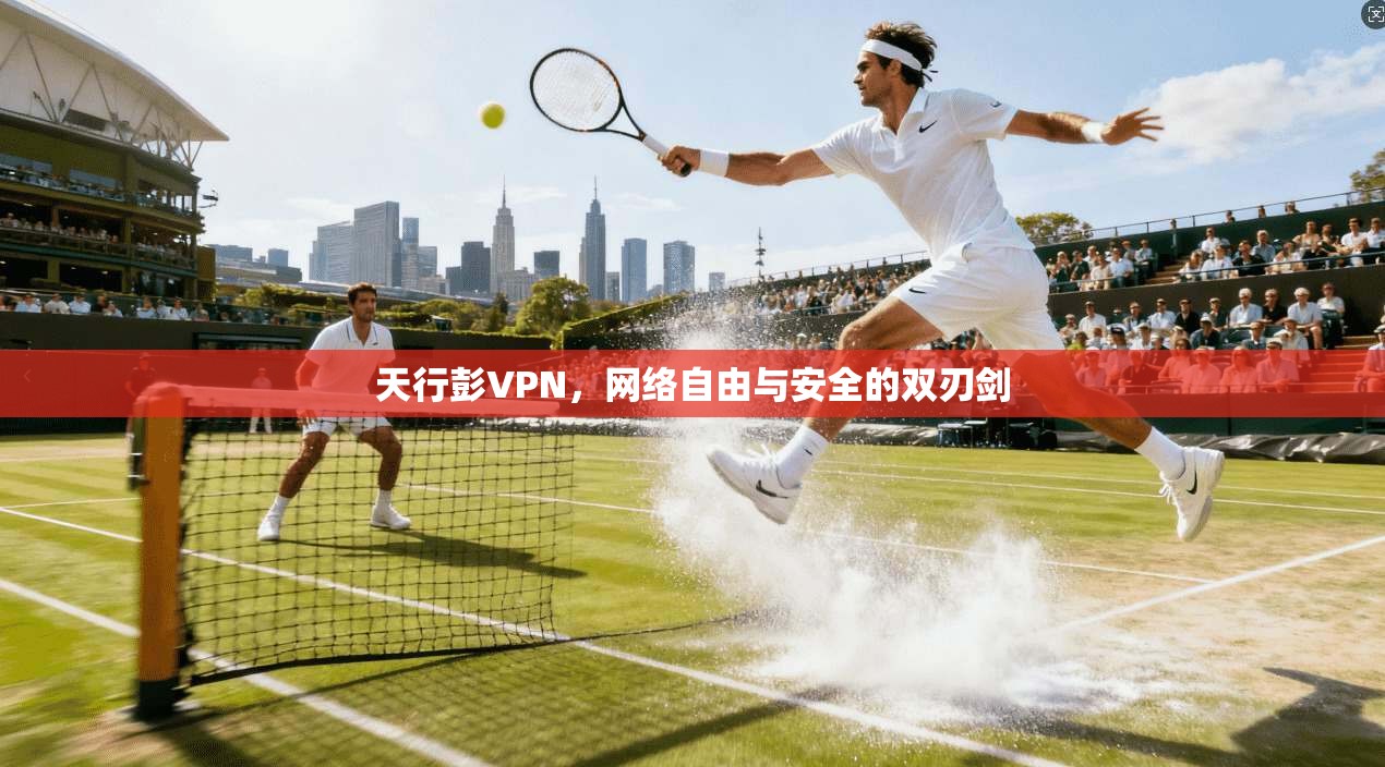 天行彭VPN,网络自由与安全的双刃剑 天行彭VPN,网络自由与安全的双刃剑
