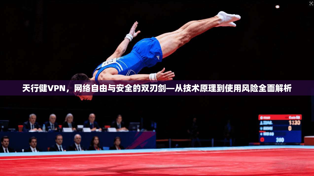 天行健VPN，网络自由与安全的双刃剑—从技术原理到使用风险全面解析