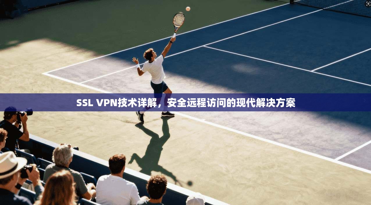 SSL VPN技术详解,安全远程访问的现代解决方案