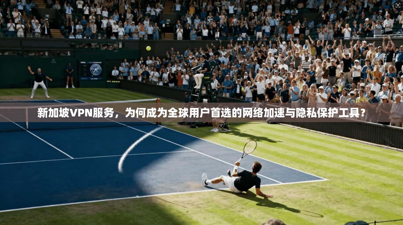 新加坡VPN服务，为何成为全球用户首选的网络加速与隐私保护工具？