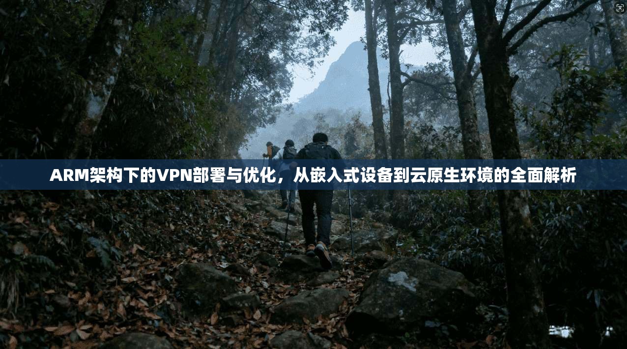 ARM架构下的VPN部署与优化，从嵌入式设备到云原生环境的全面解析