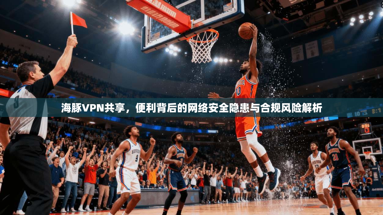 海豚VPN共享,便利背后的网络安全隐患与合规风险解析