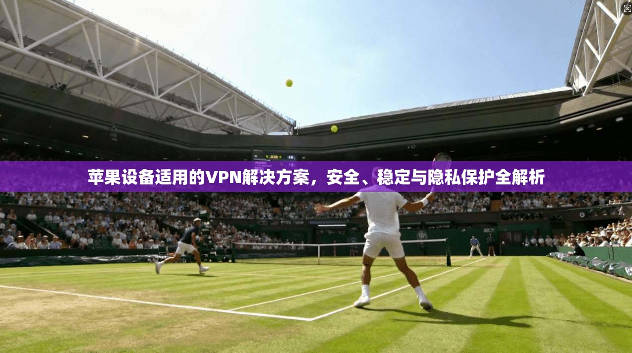 苹果设备适用的VPN解决方案,安全、稳定与隐私保护全解析