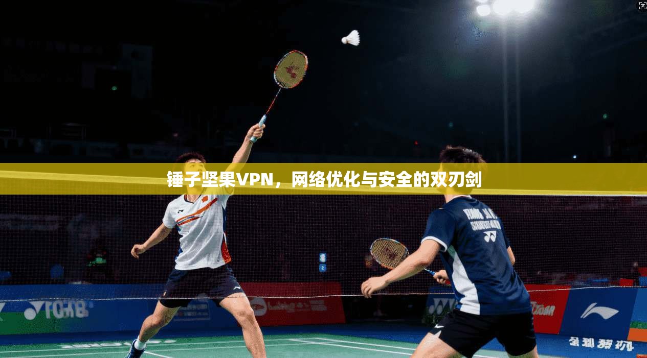 锤子坚果VPN,网络优化与安全的双刃剑