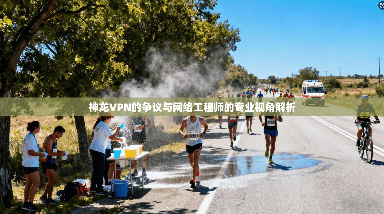 神龙VPN的争议与网络工程师的专业视角解析
