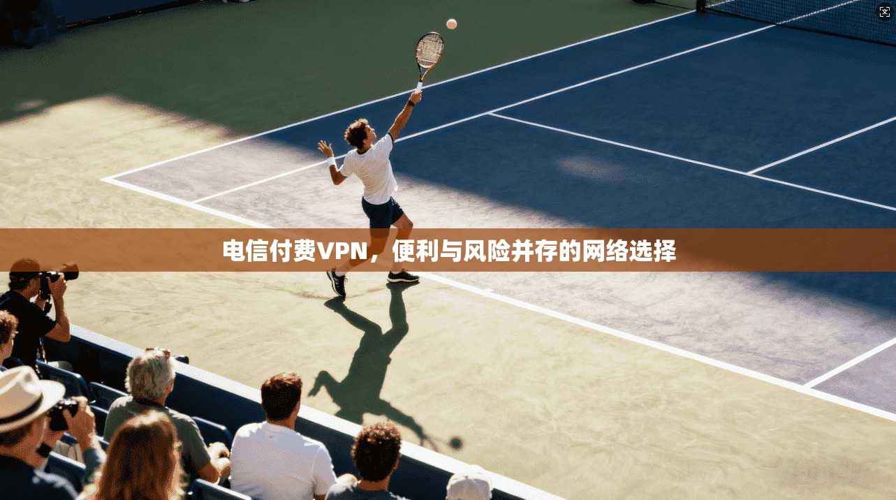 电信付费VPN，便利与风险并存的网络选择