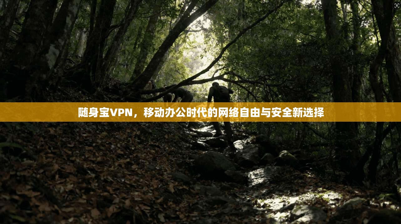 随身宝VPN，移动办公时代的网络自由与安全新选择