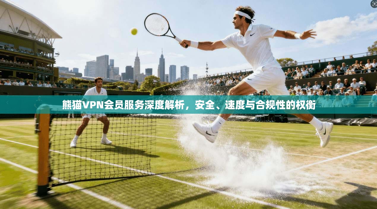 熊猫VPN会员服务深度解析，安全、速度与合规性的权衡