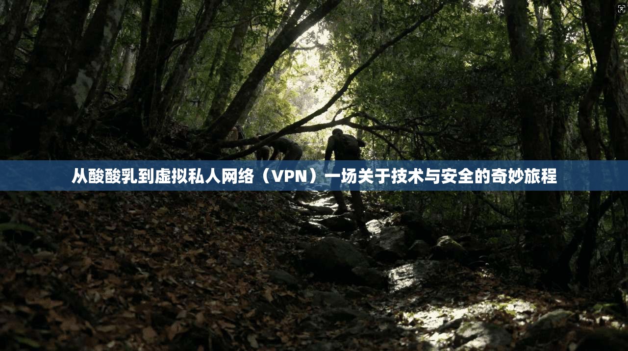 从酸酸乳到虚拟私人网络（VPN）一场关于技术与安全的奇妙旅程