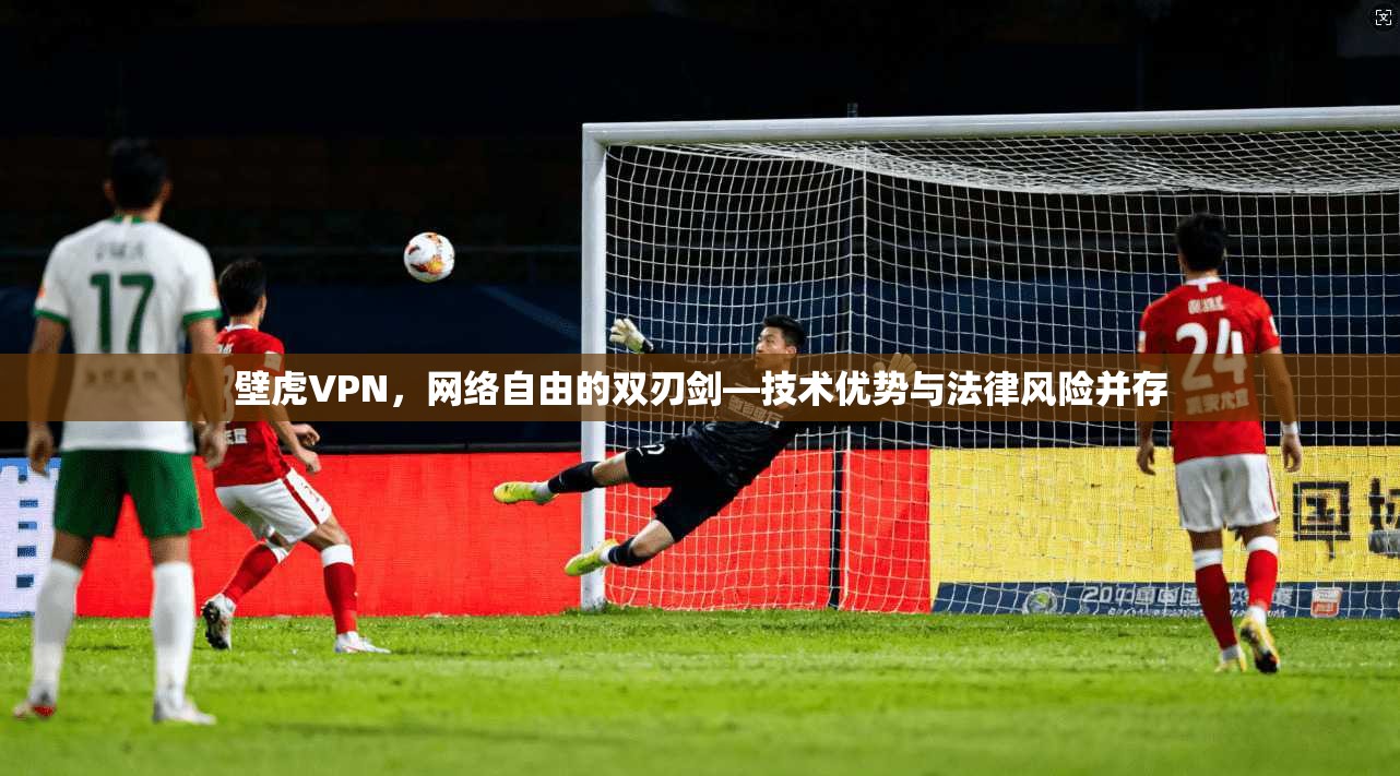 壁虎VPN，网络自由的双刃剑—技术优势与法律风险并存