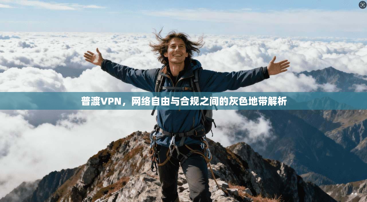 普渡VPN，网络自由与合规之间的灰色地带解析