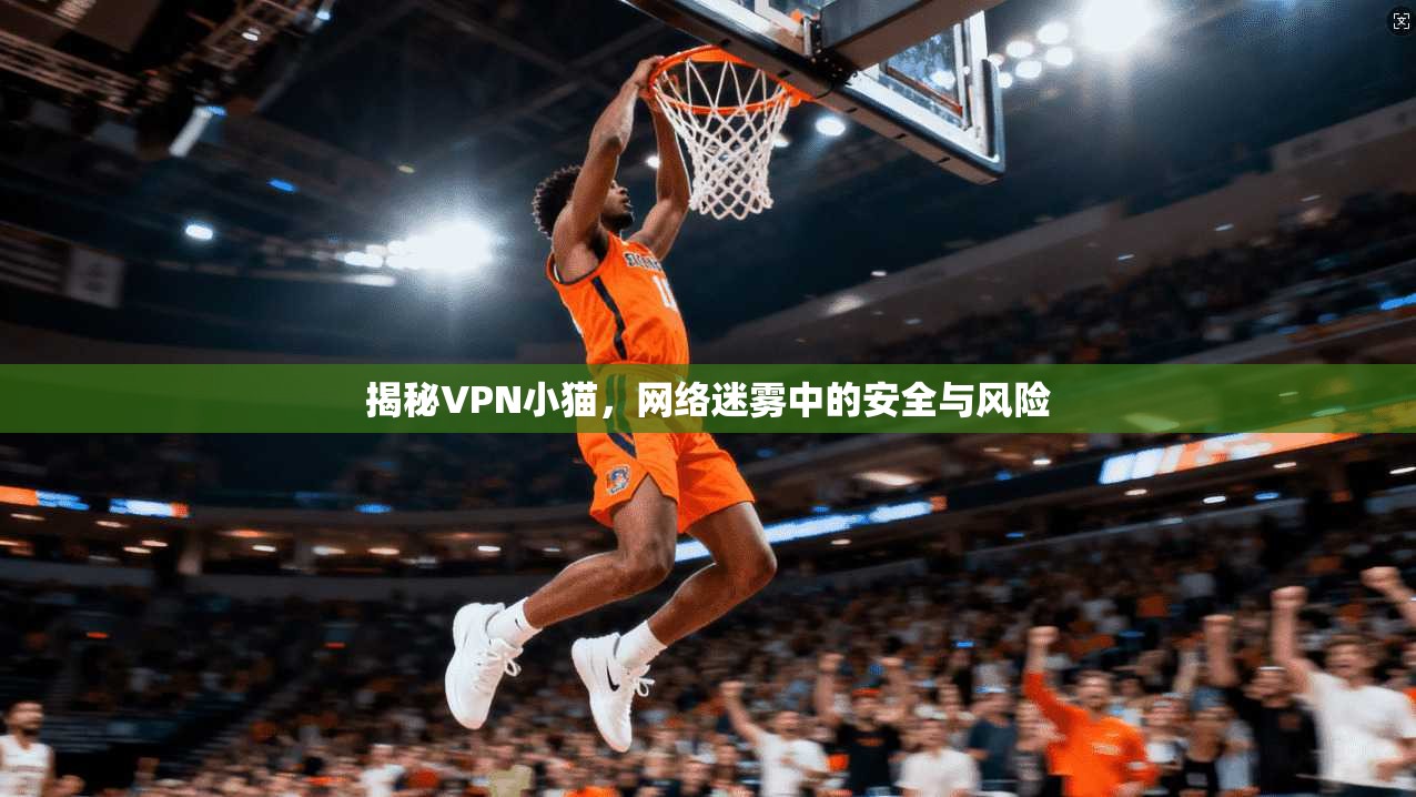 揭秘VPN小猫，网络迷雾中的安全与风险