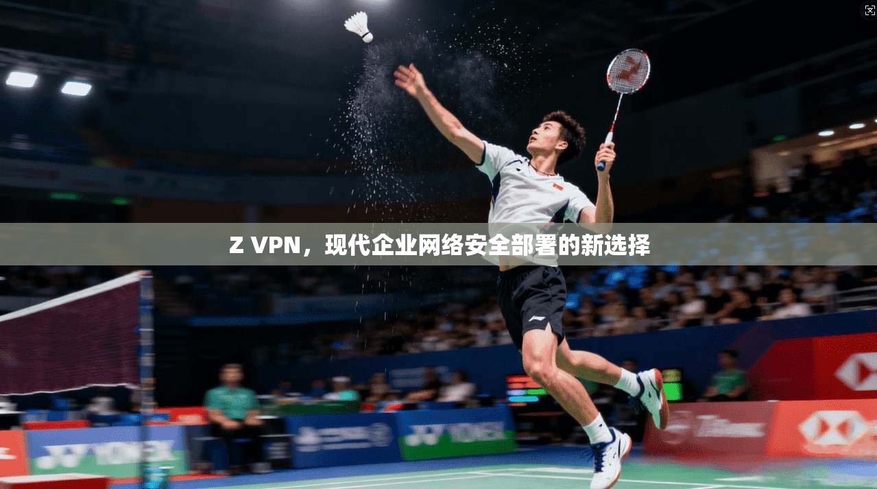 Z VPN，现代企业网络安全部署的新选择