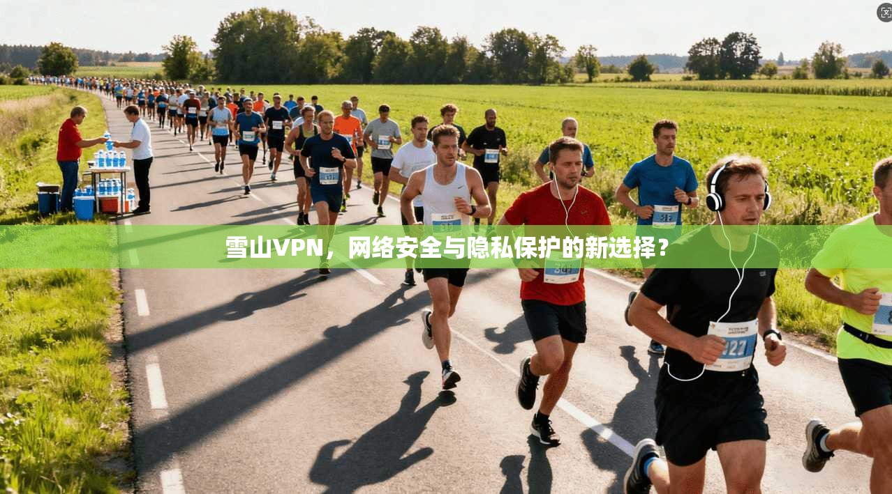 雪山VPN,网络安全与隐私保护的新选择? 雪山VPN,网络安全与隐私保护的新选择?