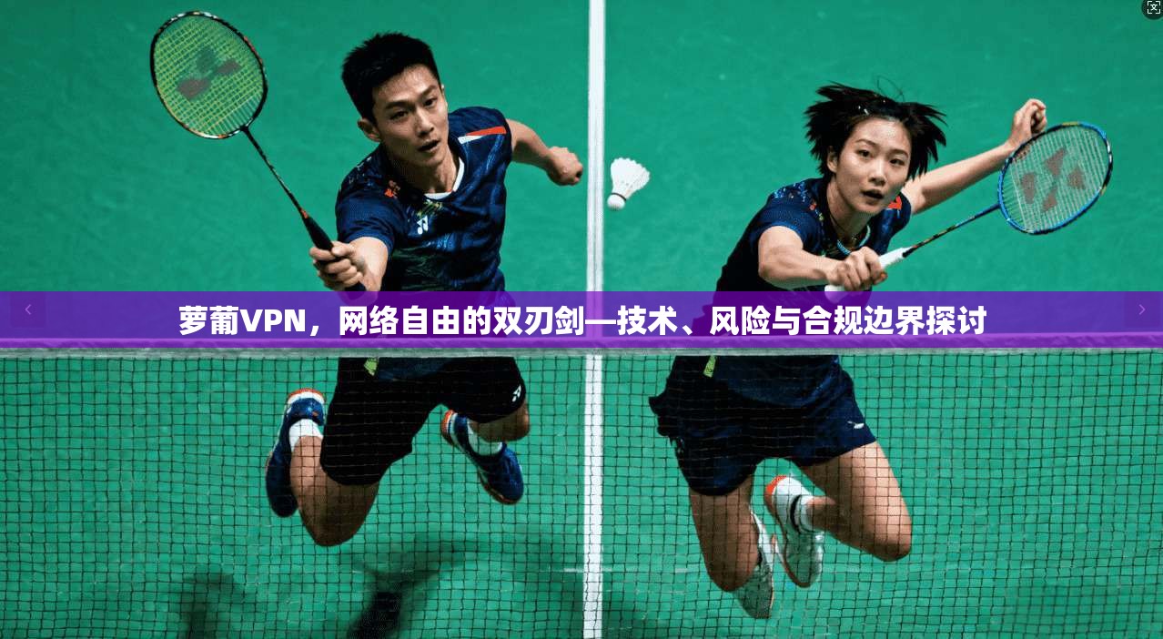 萝葡VPN，网络自由的双刃剑—技术、风险与合规边界探讨