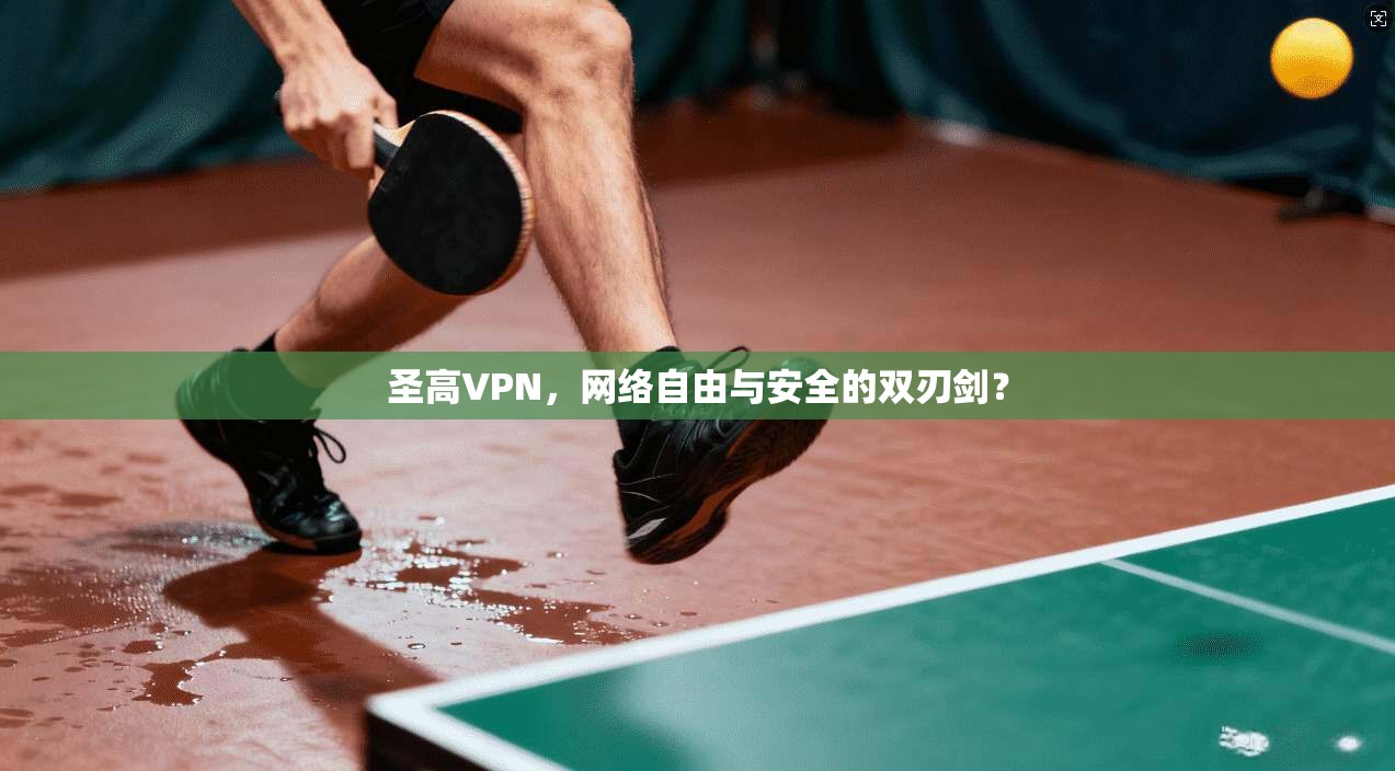圣高VPN，网络自由与安全的双刃剑？