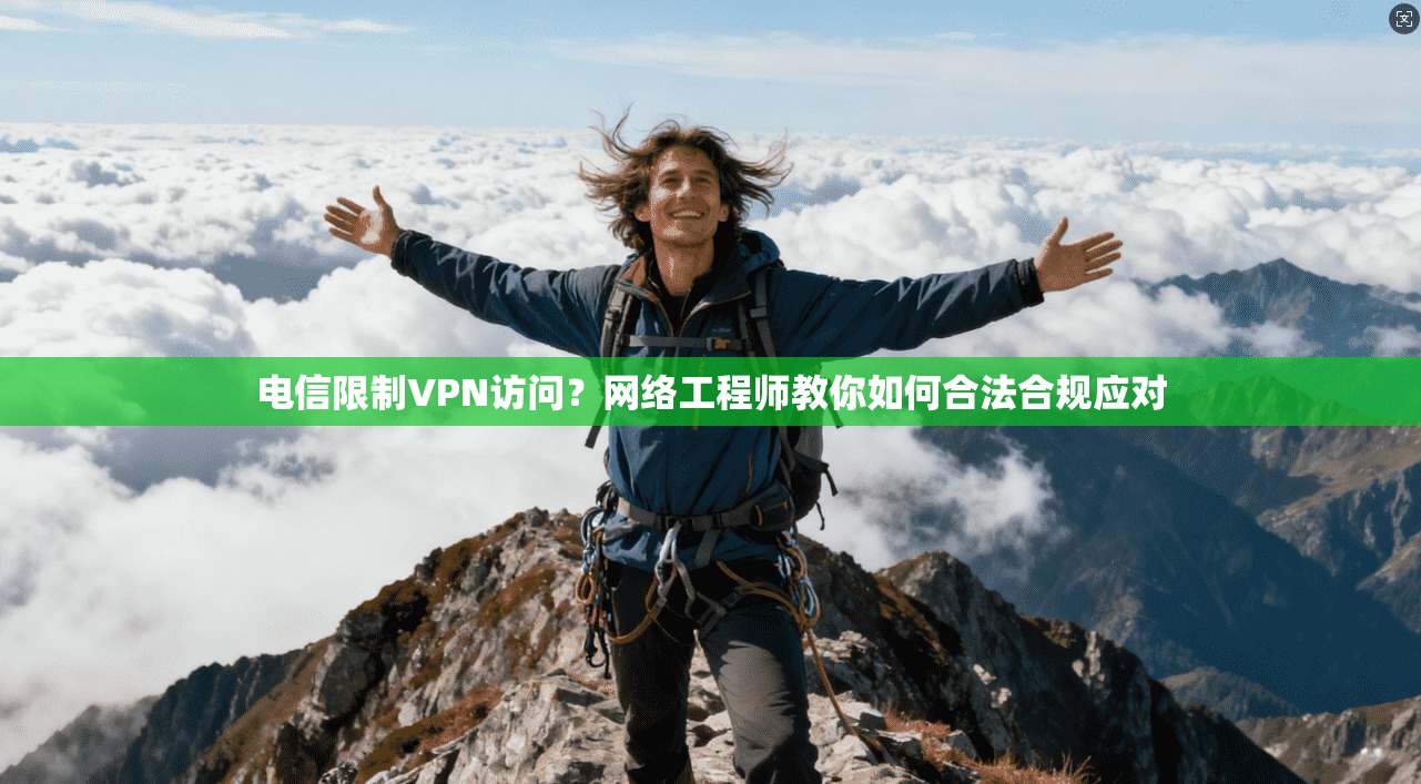 电信限制VPN访问？网络工程师教你如何合法合规应对